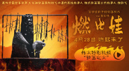 aaa级大片